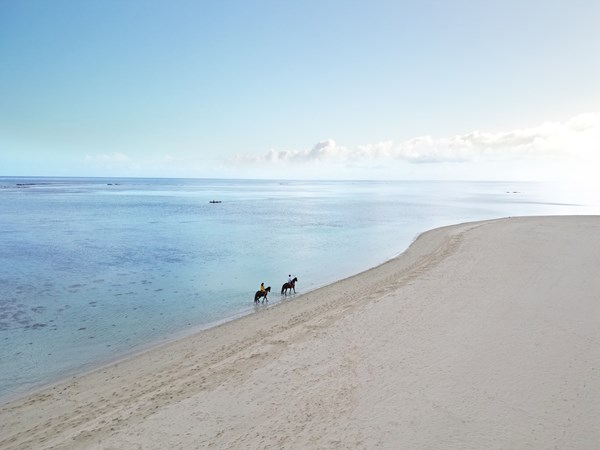Balade à cheval sur la plage immacule