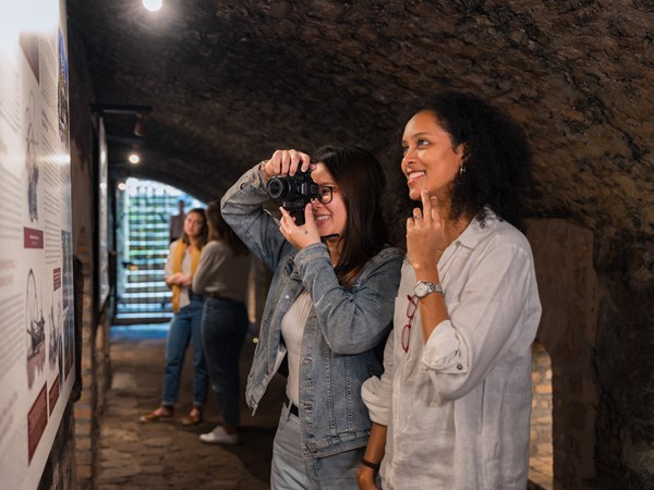 Secrets des plantations sucrières à découvrir