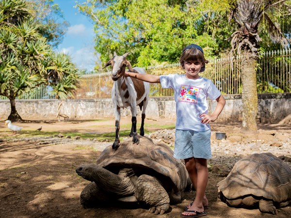 Découvrez les animaux de la ferme historique