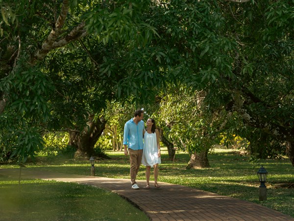 Entre nature et patrimoine