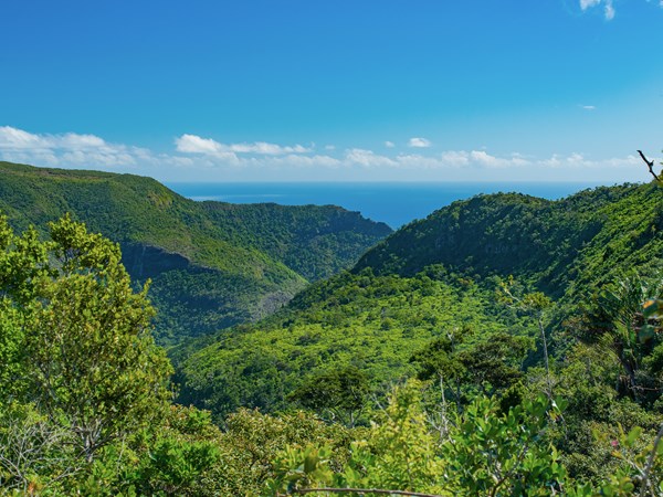 Gorges de la Rivière Noire