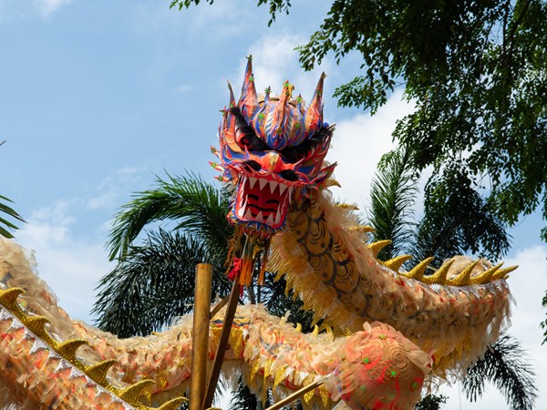 Le festival annuel de Chinatown