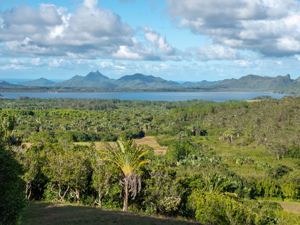Rejoignez la région des Midlands