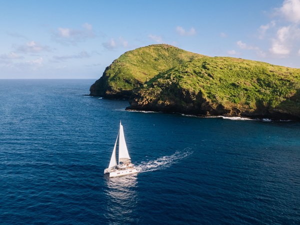 Excursion en catamaran vers l'île Plate