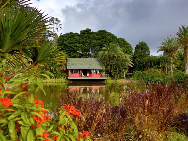 Lakaz Chamarel niché au coeur de la nature tropicale