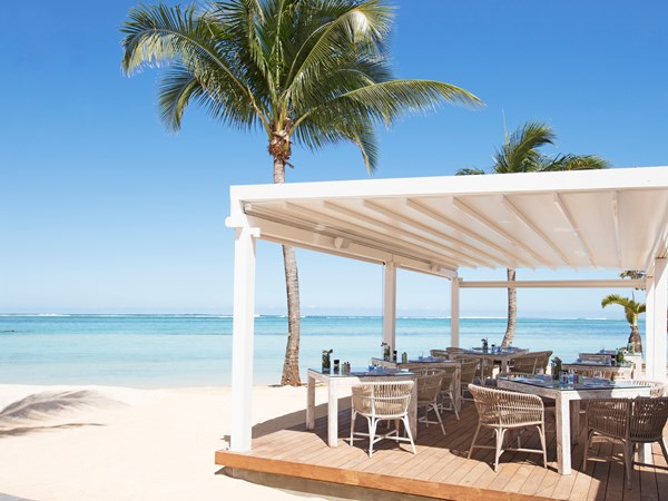 Le restaurant Le Palmier