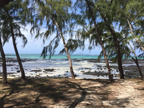 Baladez-vous sur l'île d'Ambre