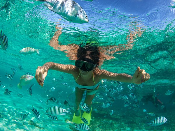 Explorez les fonds marins