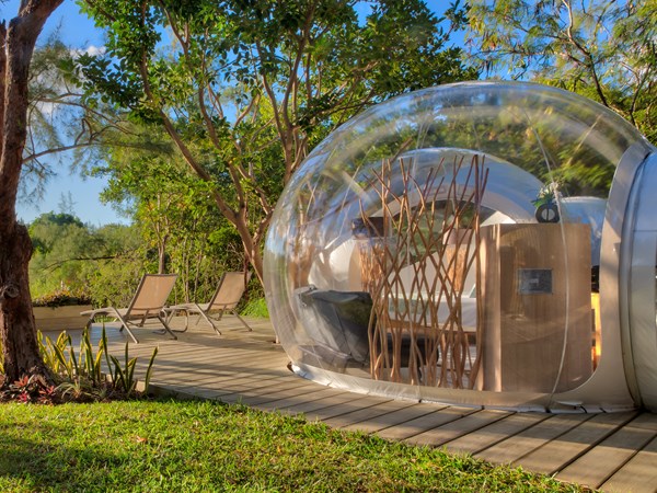 Des lodges atypiques posés au milieu de la nature