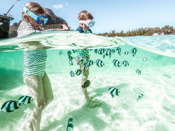À la découverte des fonds marins colorés