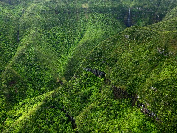 Le parc naturel des gorges de Rivière Noire