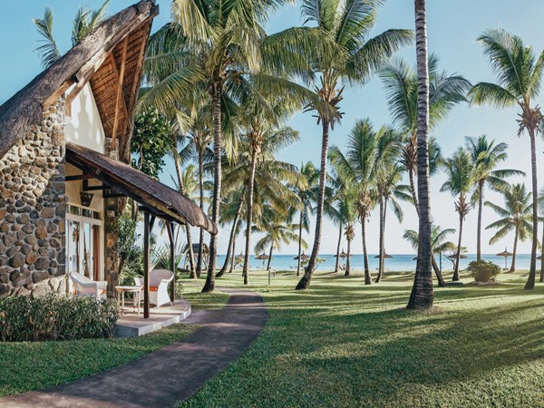 La Pirogue et sa sublime cocoteraie