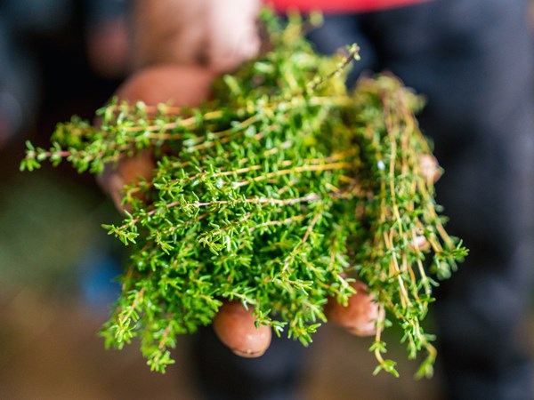 Produits frais, ambiance locale