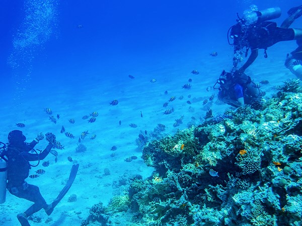 Explorez les fonds marins