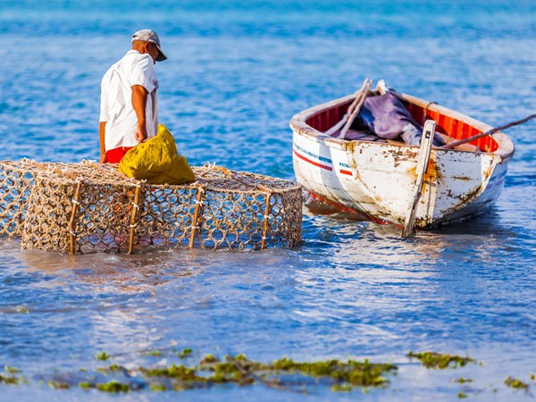 La pêche traditionnelle rodriguaise