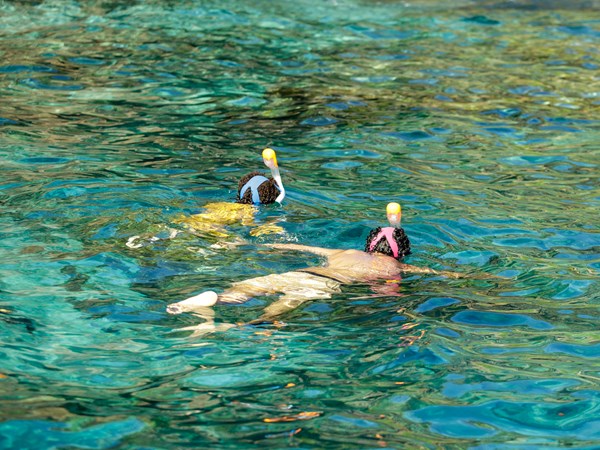 L’un des meilleurs spots de snorkeling