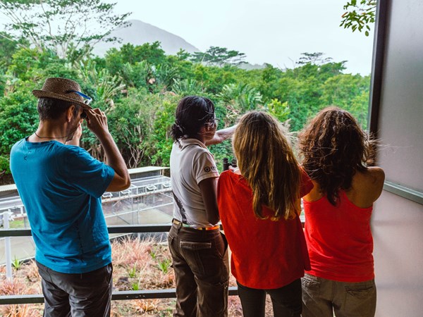 Observation privilégiée avec des naturalistes passionnés