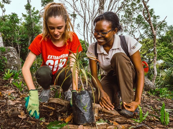 Ebony Forest, un projet de restauration unique à Maurice