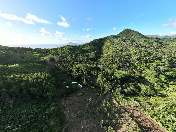Découverte fascinante de la richesse écologique mauricienne