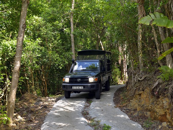 Explorer la forêt d'Ebony en Jeep