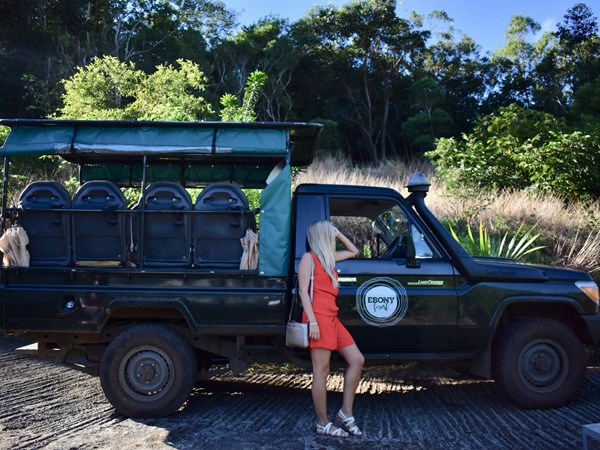 Un safari guidé au cœur de la forêt endémique
