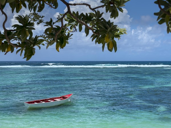 Profitez du lagon turquoise