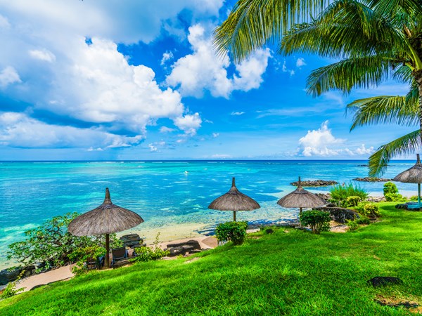 Un cadre paisible et verdoyant