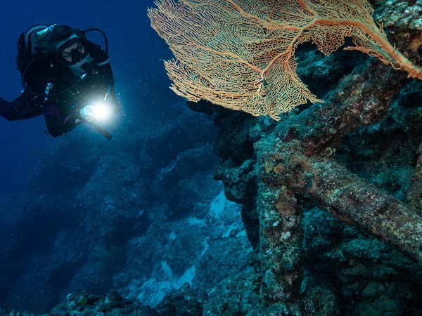 Partez à la découverte des fonds marins