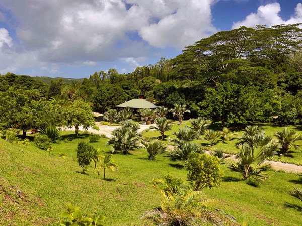 Un magnifique jardin tropical