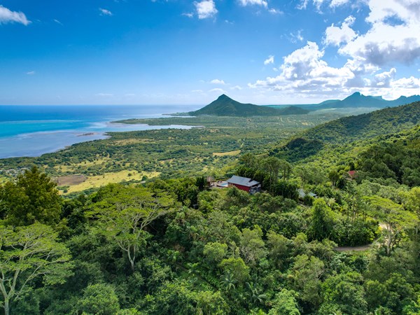 Immersion totale dans la nature mauricienne