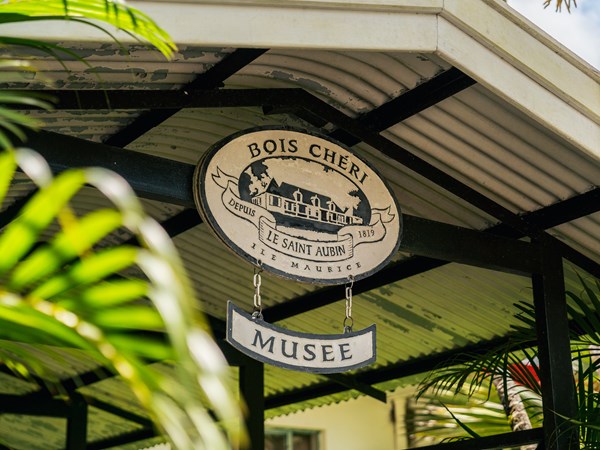 Plongée dans l’histoire du domaine au musée