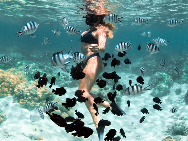 Une biodiversité marine riche et fascinante