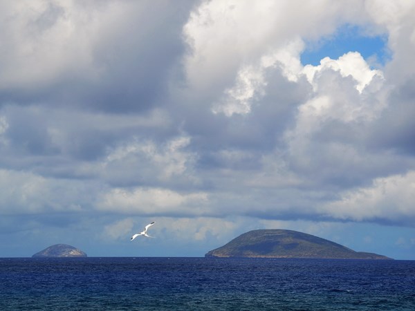 L'Île aux Serpents, une escale d’observation au large de Maurice