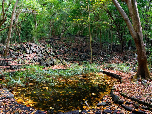 Entre tranquillité et nature préservée