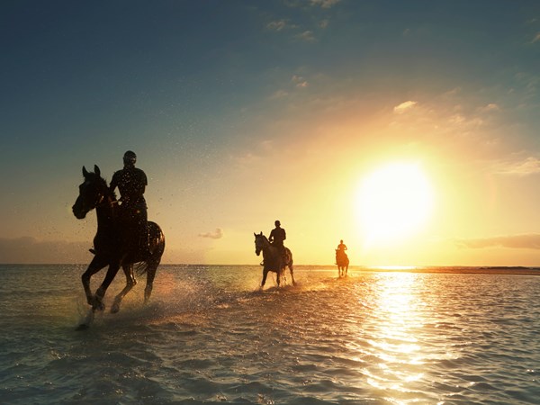Balade à cheval au coucher du soleil