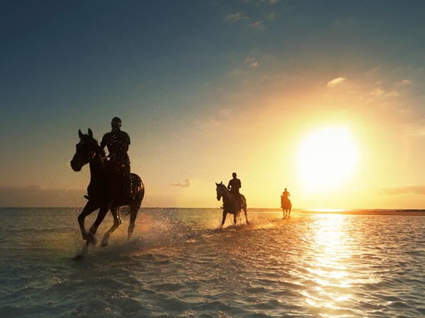Une balade à cheval au crépuscule