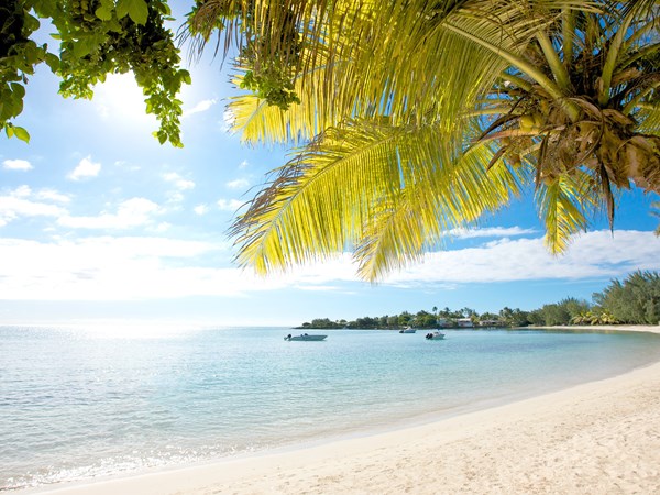La plage ravira petits et grands, avec son atmosphère paisible