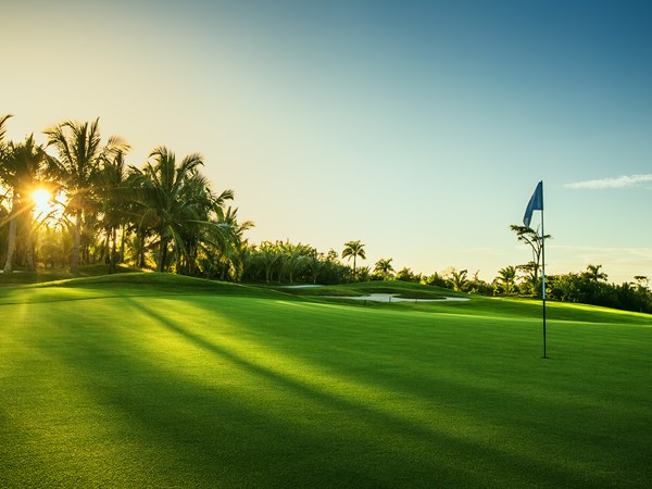 Vivez la passion du golf dans un cadre unique