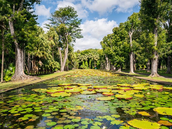 Le Jardin de Pamplemousses