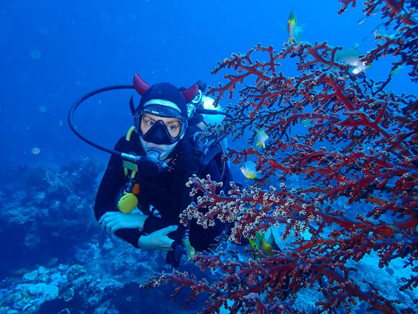 Découvrez la plongée sous marine