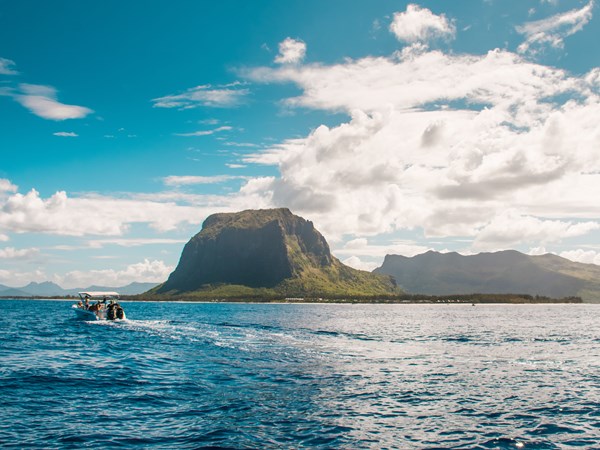 Partez à la rencontre des dauphins avec une vue magique sur Le Morne.