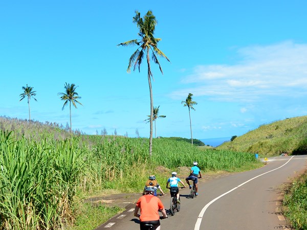 Découvrez Pamplemousses en electrobike