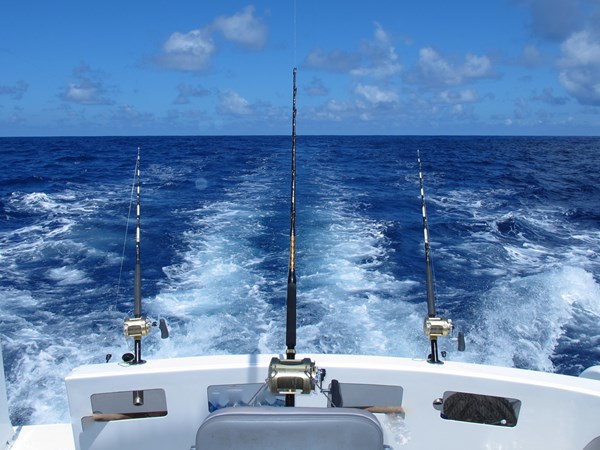 Pêche sportive