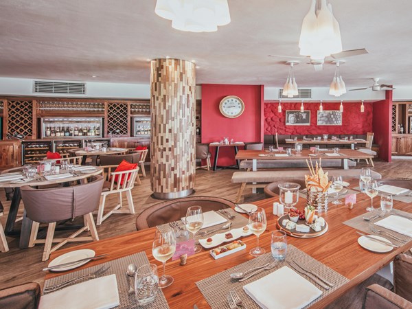 Le Van Der Stel Wine Bar