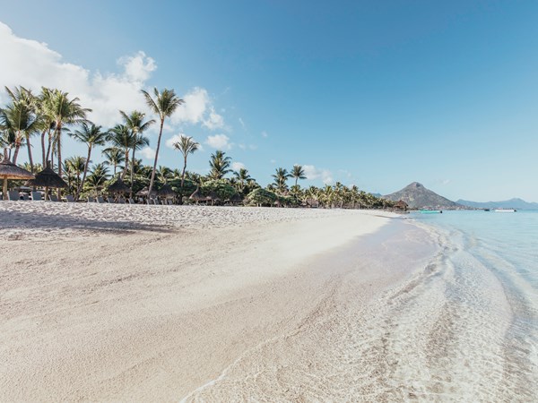 La plage immaculée
