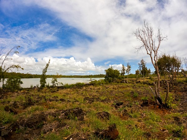 Lieu paisible pour se ressourcer en pleine nature