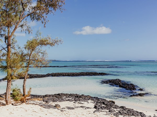La plage préservée de Palmar