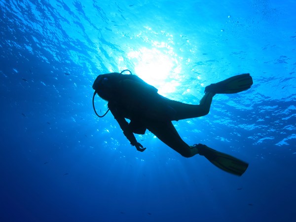 Plongée dans les eaux de Rodrigues