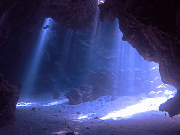 Plongée grotte à Rodrigues