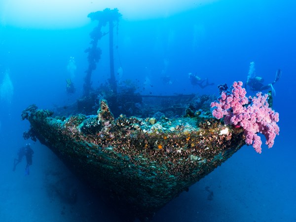Plongée sous-marine à l'île Maurice